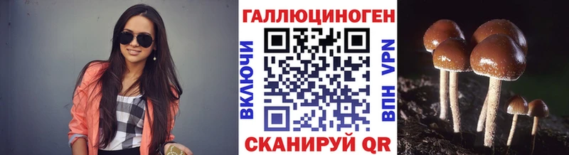 продажа наркотиков Чапаевск Галлюциногенные грибы Psilocybine cubensis
